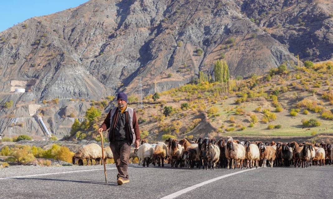 9 virajlı yolda Koçerlerin Diyarbakır’a dönüş yolculuğu 5